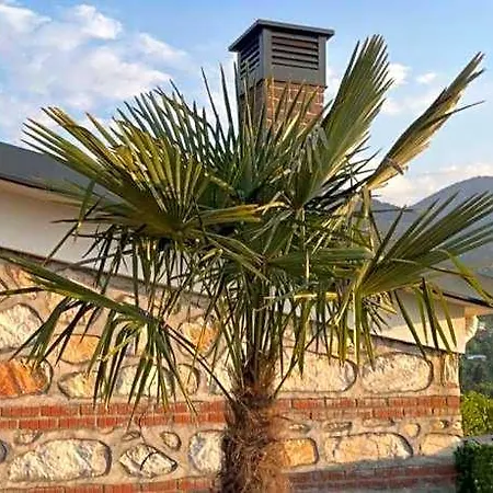 Hotel Masklavi